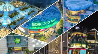 集團商業綜合體管理服務升級，以精細化運營引領城市商業新生態